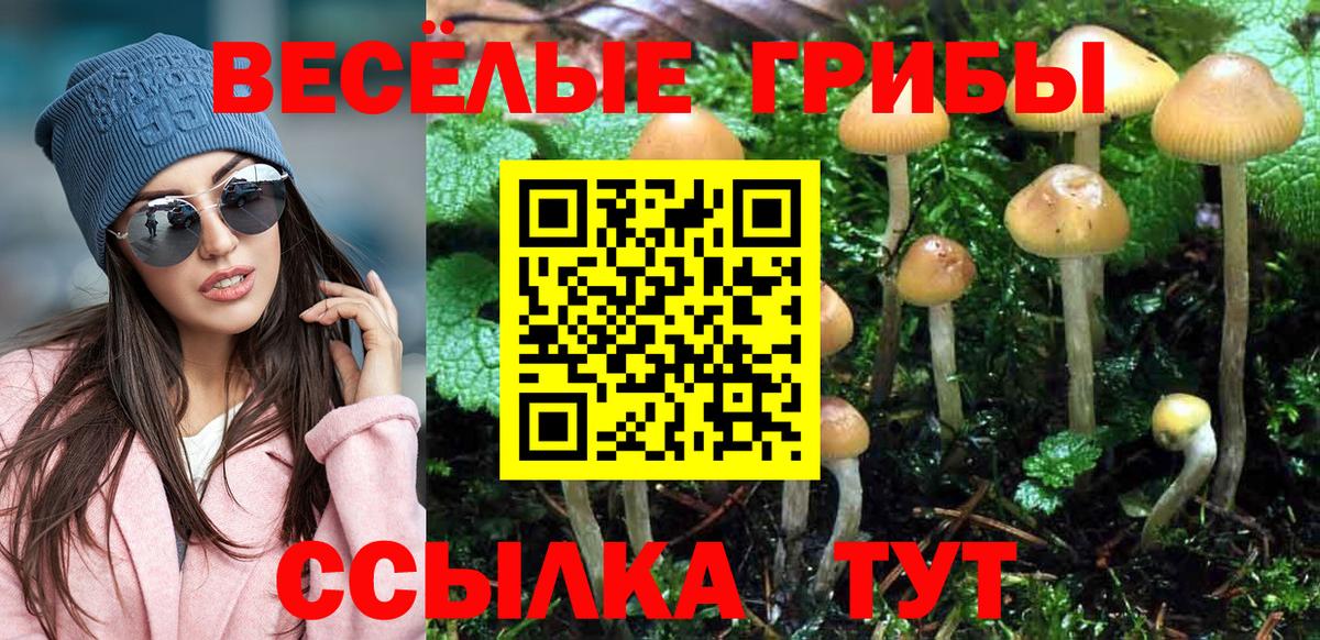Галлюциногенные грибы Magic Shrooms Апрелевка