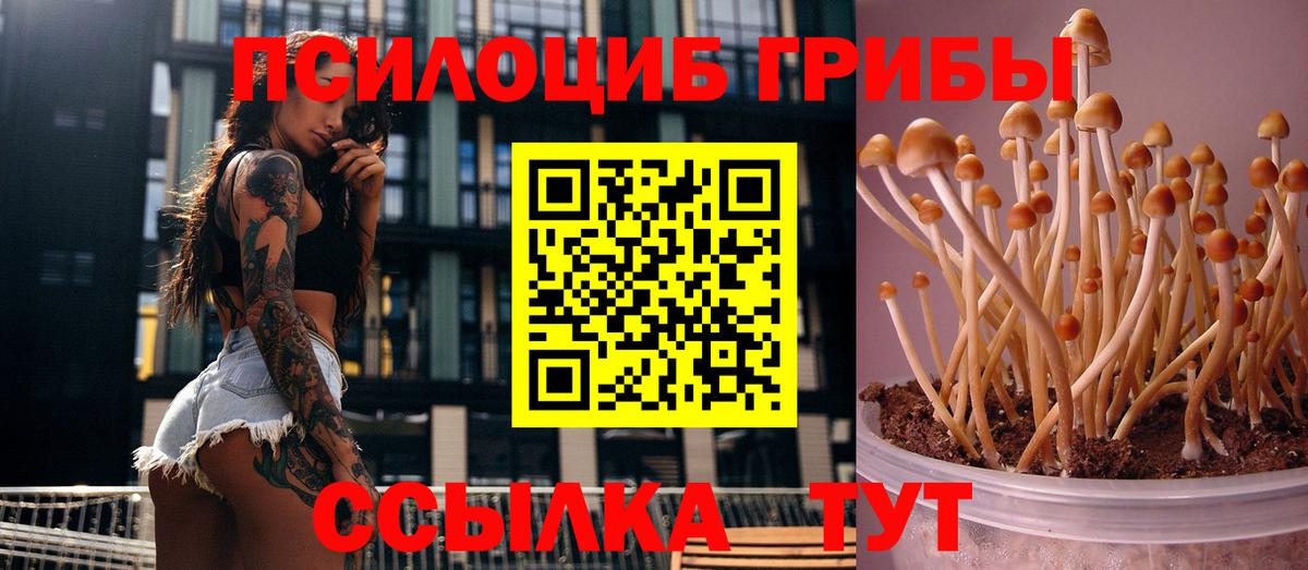 Апрелевка  Псилоцибиновые грибы Psilocybine cubensis  Вход с VPN  где можно купить наркотик  Псилоцибиновые грибы MAGIC MUSHROOMS 